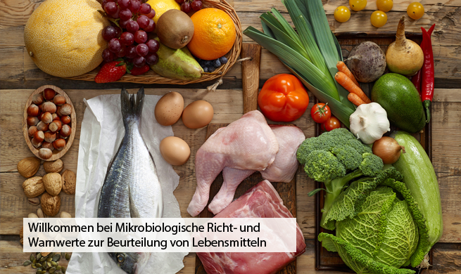 Lebensmittel Teaser 1